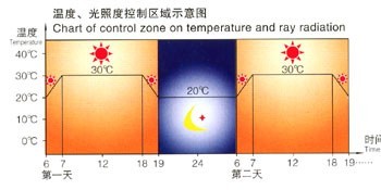 未命名 未命名